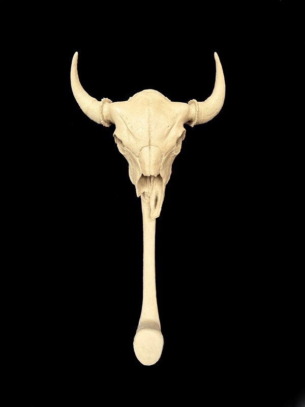 Signature Skull